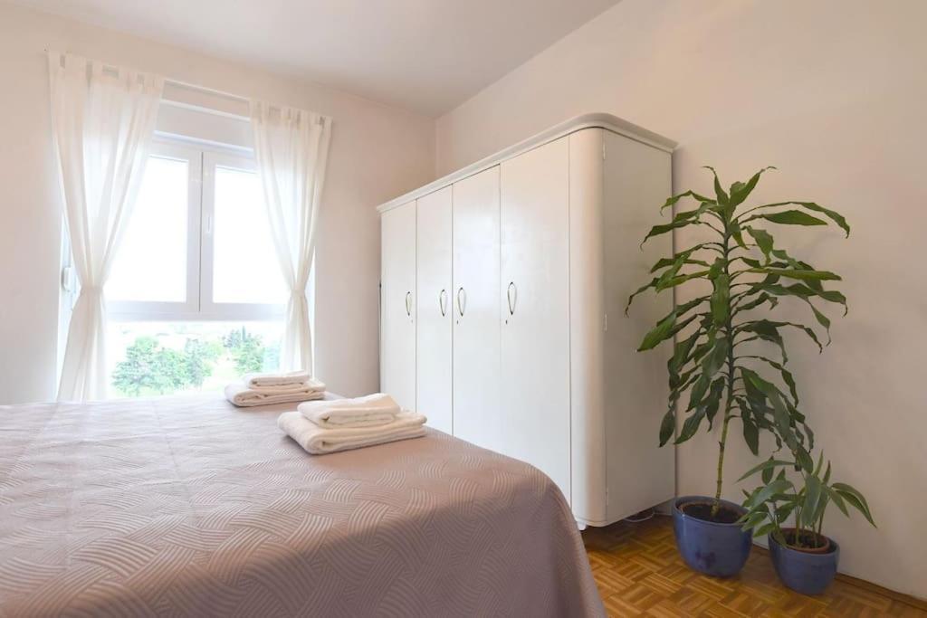 Apartman Ilijana 자다르 외부 사진