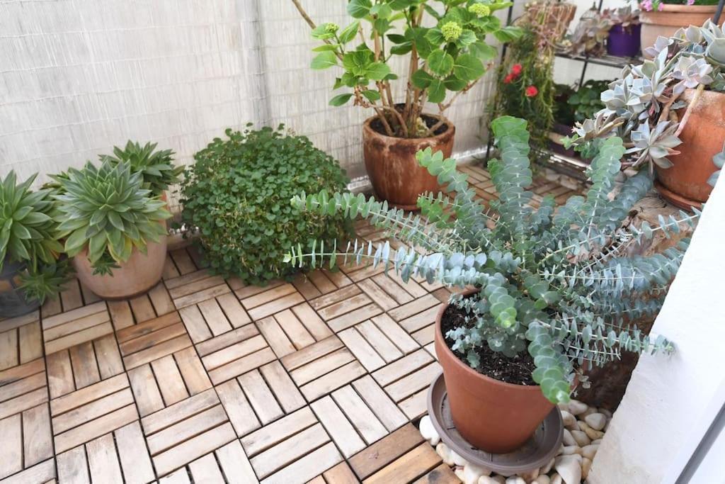 Apartman Ilijana 자다르 외부 사진